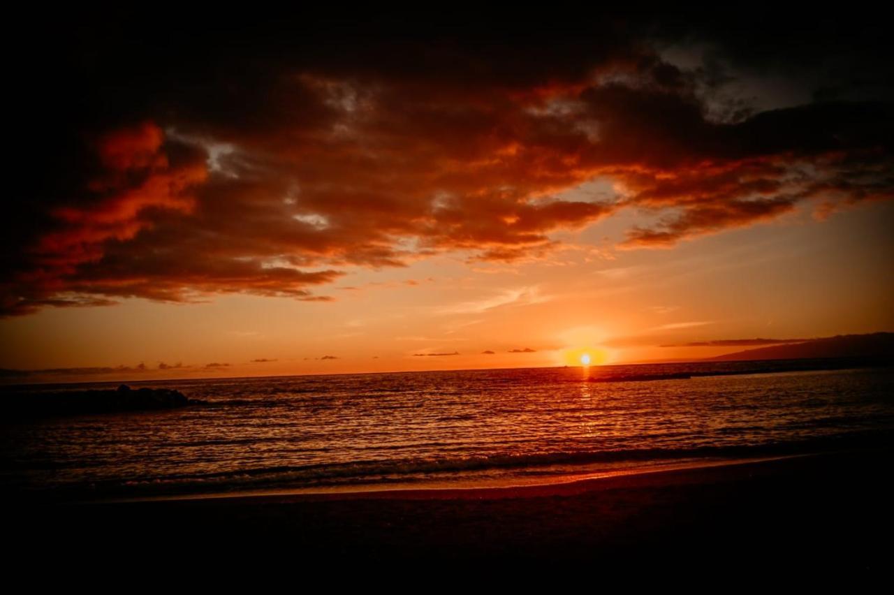 Paradise Tenerife サンミゲル・デ・アボナ エクステリア 写真