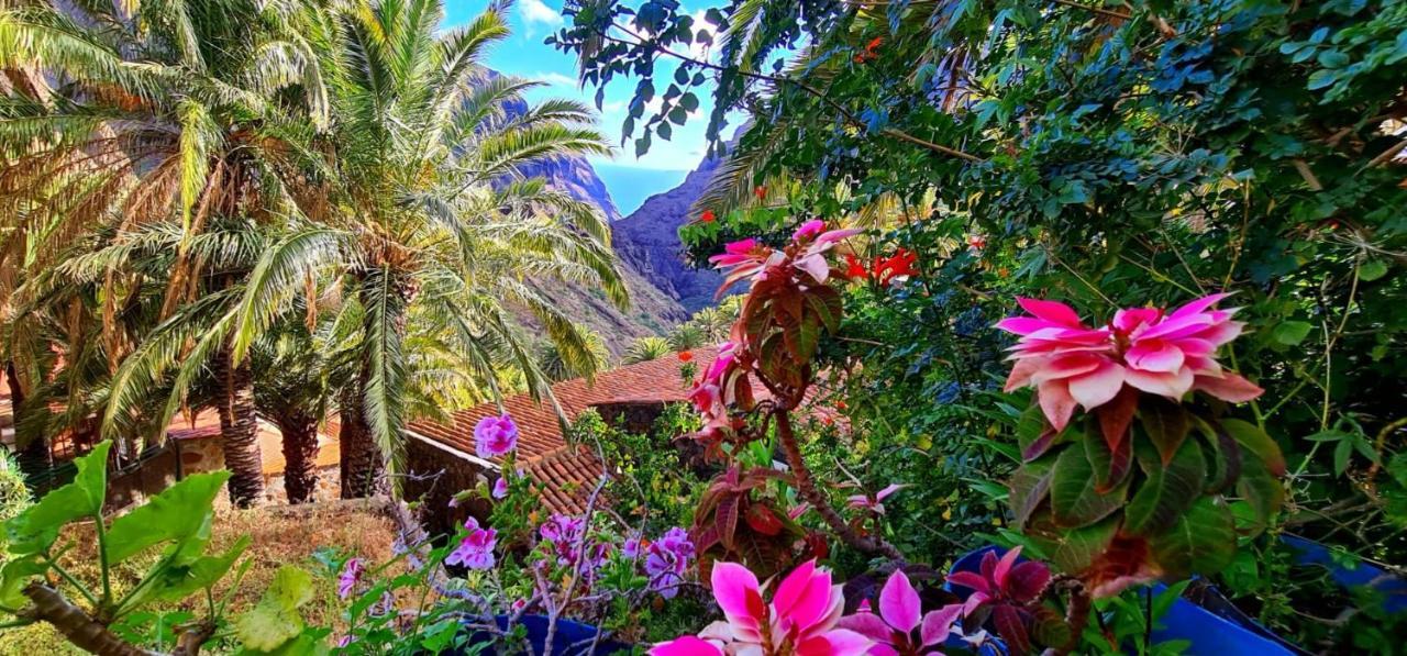 Paradise Tenerife サンミゲル・デ・アボナ エクステリア 写真